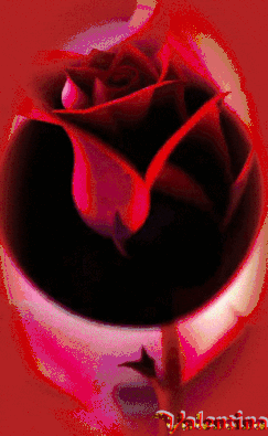 202754BZcJJLA1 (1).gif